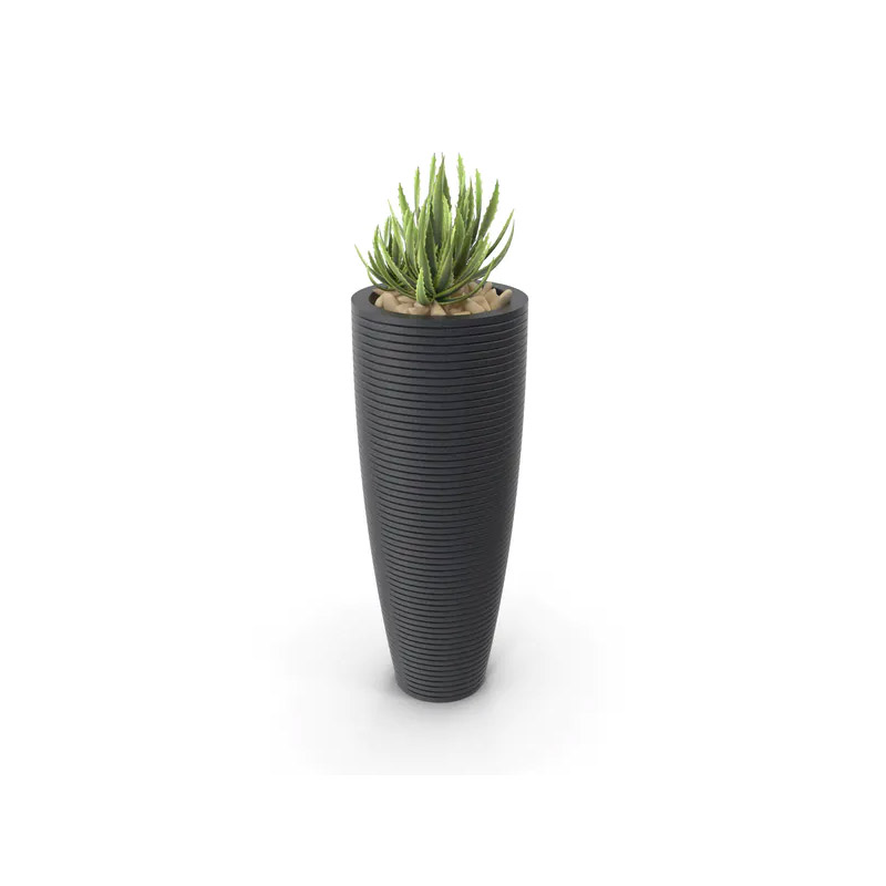 Green Plant Image 3